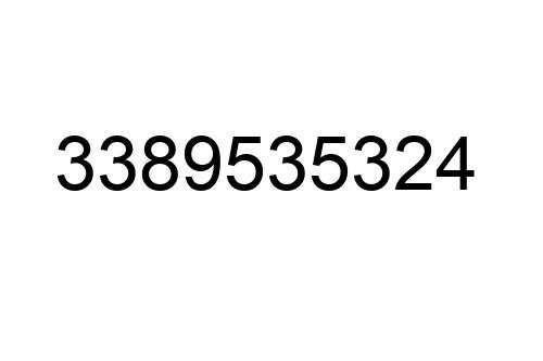 3389535324
