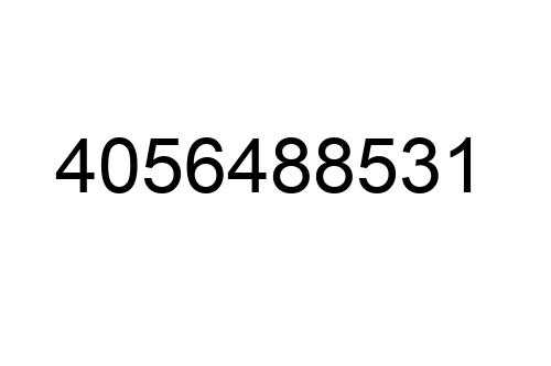 4056488531
