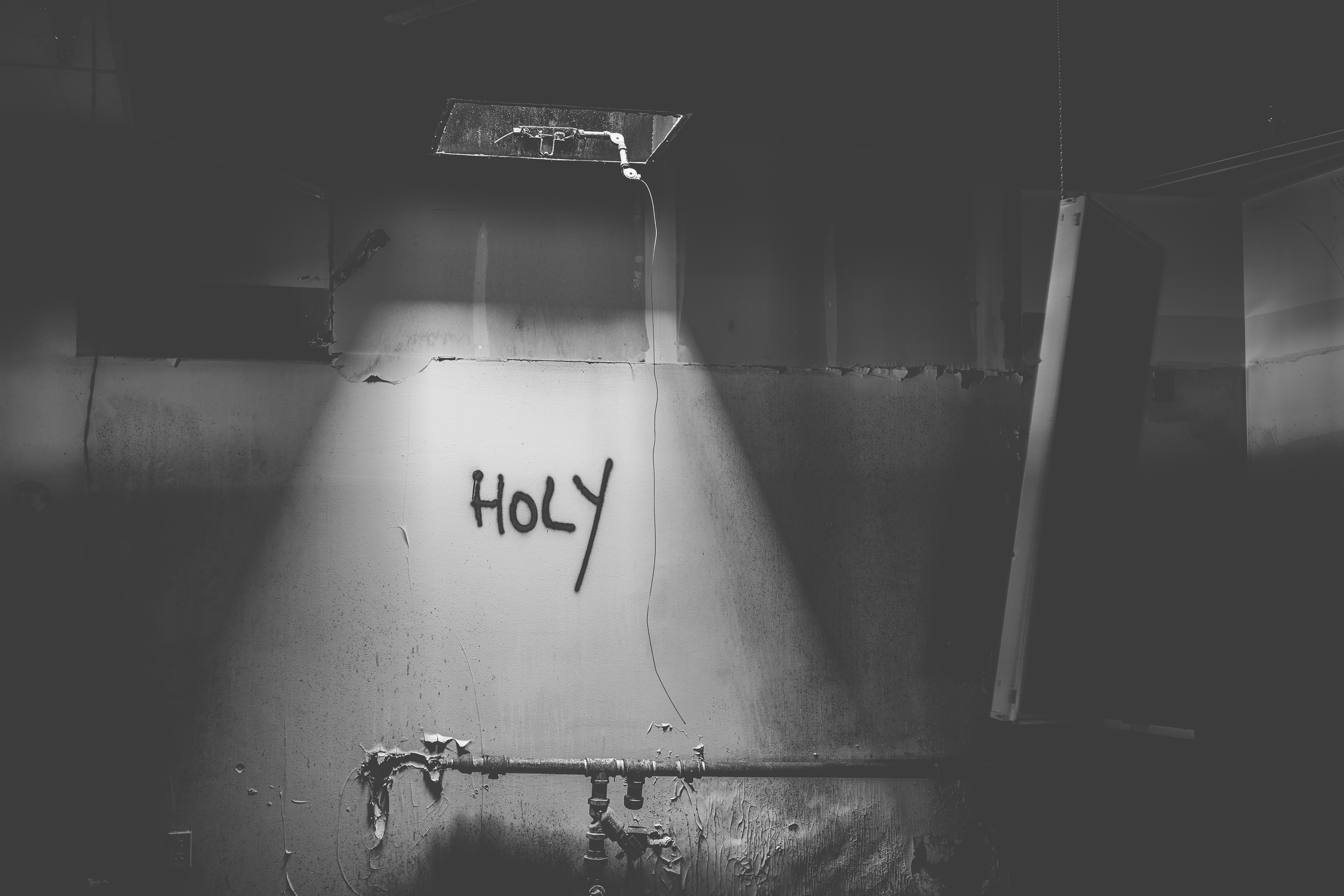 holistic revival