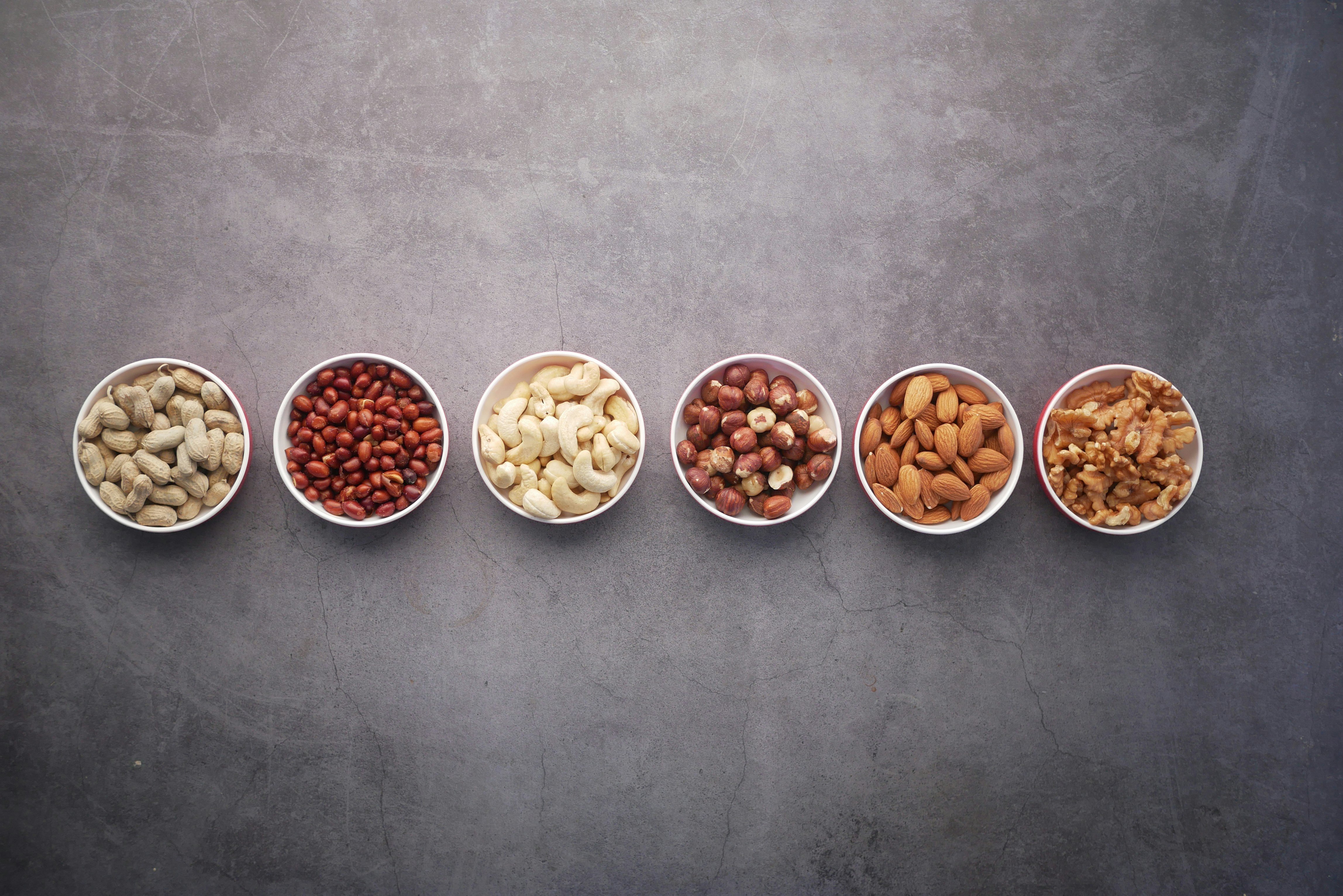 plant protein