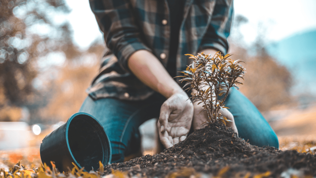 Economic Incentives for Conservation