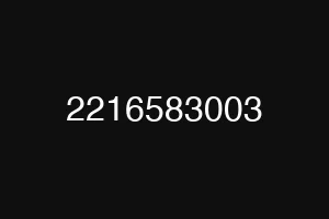 2216583003