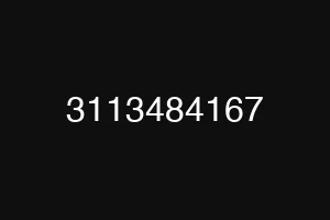 3113484167