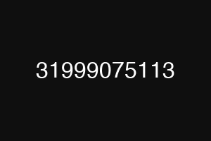 31999075113