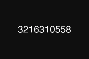 3216310558