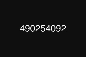 490254092