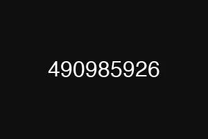 490985926