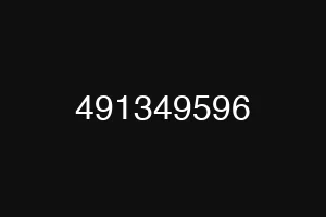 491349596