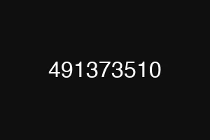 491373510