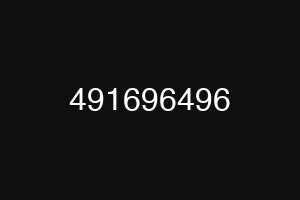 491696496