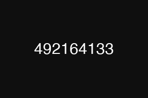 492164133