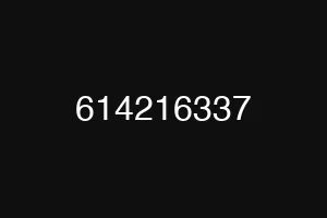 614216337