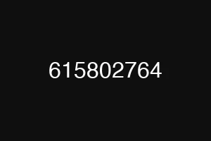 615802764
