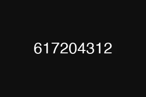 617204312