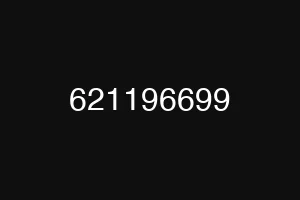 621196699