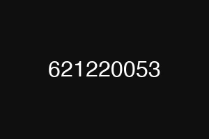 621220053