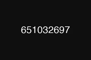 651032697