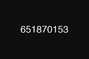 651870153