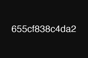 655cf838c4da2