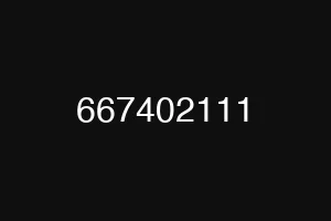 667402111
