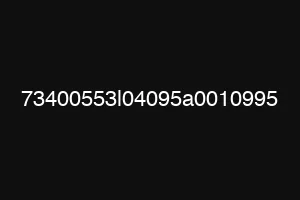 73400553l04095a0010995