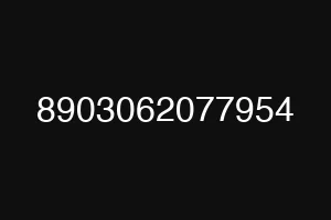 8903062077954