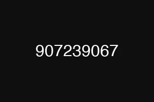 907239067