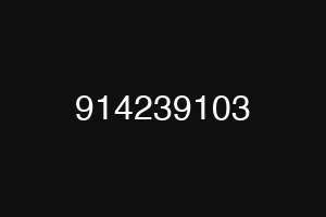 914239103