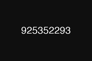 925352293