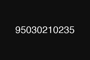 95030210235