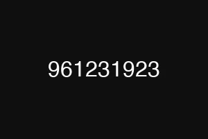 961231923