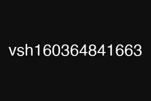vsh160364841663