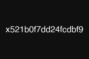 x521b0f7dd24fcdbf9